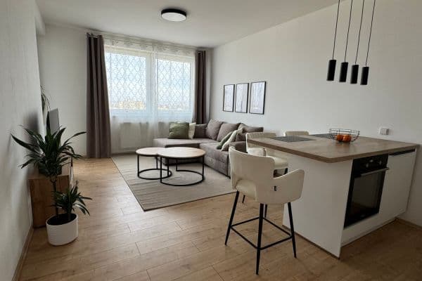 1 bedroom with open-plan kitchen flat to rent, 55 m², Praha 1 bedroom with open-plan kitchen flat to rent, 55 m², Praha