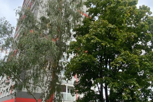 3 bedroom flat for sale, 64 m², Výškovická, Ostrava 3 bedroom flat for sale, 64 m², Výškovická, Ostrava