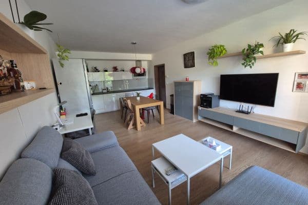 1 bedroom with open-plan kitchen flat for sale, 62 m², Sochorova, Brno 1 bedroom with open-plan kitchen flat for sale, 62 m², Sochorova, Brno