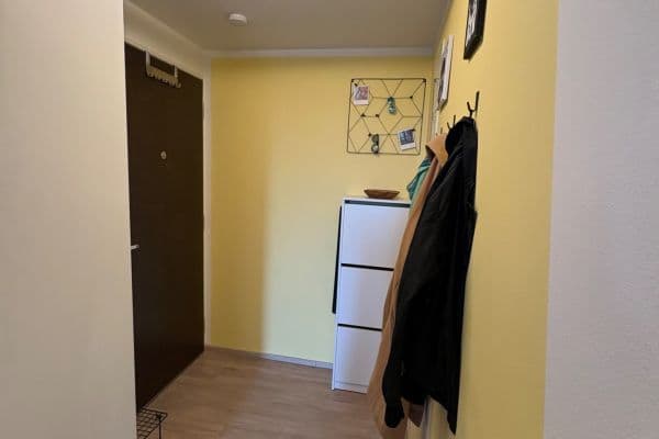 1 bedroom with open-plan kitchen flat to rent, 50 m², U Radosti, Praha 1 bedroom with open-plan kitchen flat to rent, 50 m², U Radosti, Praha