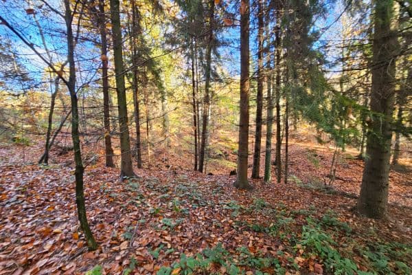 plot for sale, 31,850 m², Bílovec plot for sale, 31,850 m², Bílovec