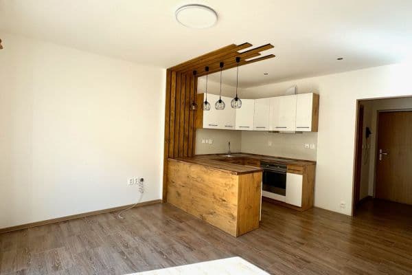 2 bedroom with open-plan kitchen flat to rent, 48 m², Zbraslavice 2 bedroom with open-plan kitchen flat to rent, 48 m², Zbraslavice