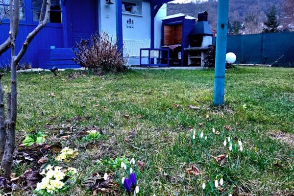 recreational property to rent, 481 m², Pod Chybou, Zadní Třebaň recreational property to rent, 481 m², Pod Chybou, Zadní Třebaň