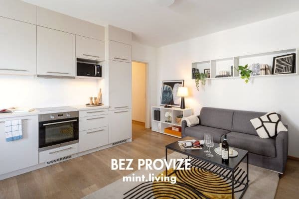 2 bedroom with open-plan kitchen flat to rent, 62 m², Františka Kováříka, Plzeň 2 bedroom with open-plan kitchen flat to rent, 62 m², Františka Kováříka, Plzeň