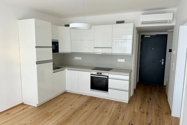 1 bedroom with open-plan kitchen flat to rent, 47 m², Sokolovská, Praha 1 bedroom with open-plan kitchen flat to rent, 47 m², Sokolovská, Praha