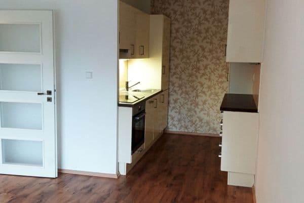 1 bedroom with open-plan kitchen flat to rent, 44 m², U Jezera, Praha 1 bedroom with open-plan kitchen flat to rent, 44 m², U Jezera, Praha
