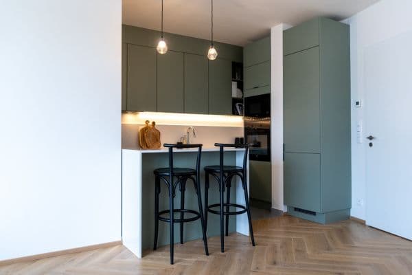 2 bedroom with open-plan kitchen flat for sale, 76 m², Jankovcova, Praha 2 bedroom with open-plan kitchen flat for sale, 76 m², Jankovcova, Praha