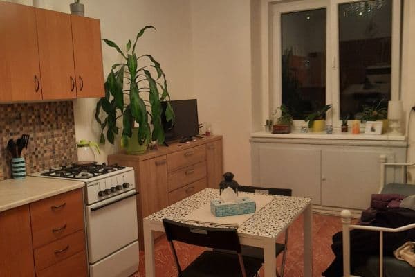 1 bedroom with open-plan kitchen flat to rent, 45 m², Vrchlického, Prague, Prague 1 bedroom with open-plan kitchen flat to rent, 45 m², Vrchlického, Prague, Prague