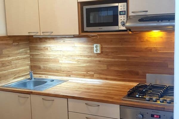 1 bedroom with open-plan kitchen flat to rent, 45 m², Nad Ohradou, Praha 1 bedroom with open-plan kitchen flat to rent, 45 m², Nad Ohradou, Praha