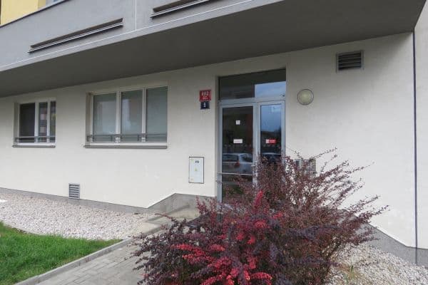 2 bedroom with open-plan kitchen flat for sale, 87 m², Sazovická, Praha 2 bedroom with open-plan kitchen flat for sale, 87 m², Sazovická, Praha