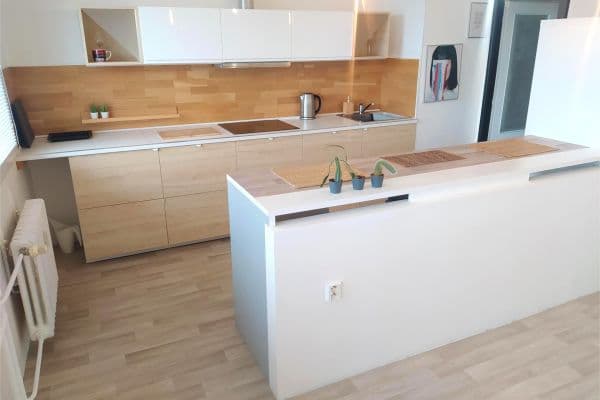 2 bedroom with open-plan kitchen flat to rent, 65 m², Nad Lesním divadlem, Praha 2 bedroom with open-plan kitchen flat to rent, 65 m², Nad Lesním divadlem, Praha