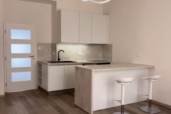 1 bedroom with open-plan kitchen flat to rent, 54 m², Blodkova, Praha 1 bedroom with open-plan kitchen flat to rent, 54 m², Blodkova, Praha