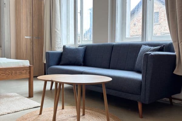 1 bedroom with open-plan kitchen flat to rent, 65 m², Litětiny 1 bedroom with open-plan kitchen flat to rent, 65 m², Litětiny