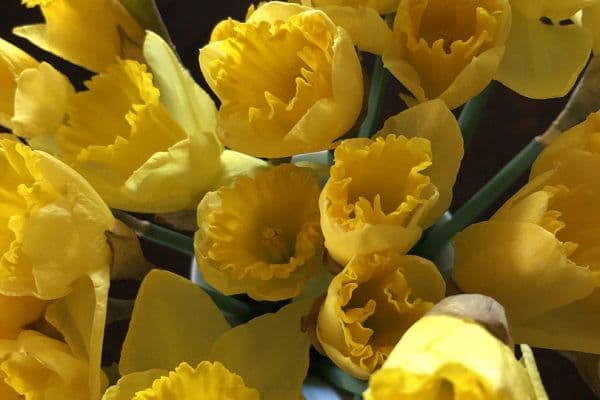 5 bedroom flat for sale, 160 m², Rottenburg am Neckar 5 bedroom flat for sale, 160 m², Rottenburg am Neckar