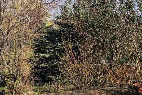 Studio flat to rent, 30 m², Sukova, Velké Přílepy Studio flat to rent, 30 m², Sukova, Velké Přílepy