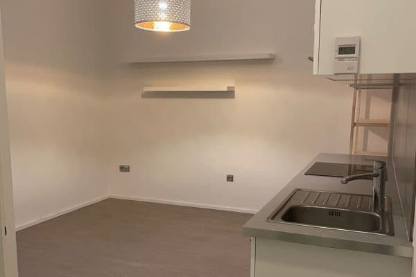 1 bedroom with open-plan kitchen flat to rent, 34 m², Zahradnická, Brno 1 bedroom with open-plan kitchen flat to rent, 34 m², Zahradnická, Brno