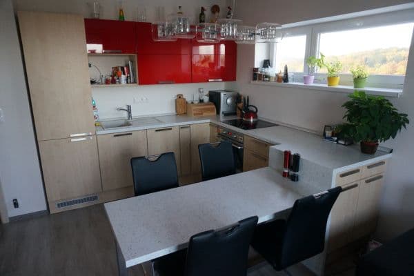 1 bedroom with open-plan kitchen flat to rent, 53 m², Říčanská, Brno 1 bedroom with open-plan kitchen flat to rent, 53 m², Říčanská, Brno