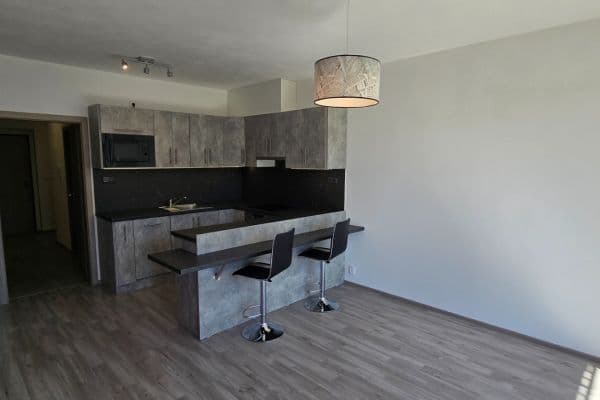 1 bedroom with open-plan kitchen flat to rent, 51 m², Chrudim 1 bedroom with open-plan kitchen flat to rent, 51 m², Chrudim
