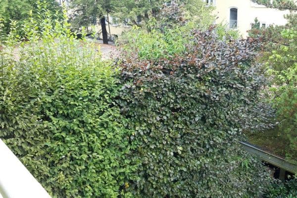 2 bedroom flat to rent, 55 m², Sendling-Westpark, München, Bavaria 2 bedroom flat to rent, 55 m², Sendling-Westpark, München, Bavaria