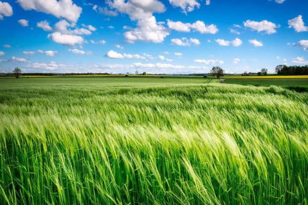 plot for sale, 55,000 m², Leidersbach plot for sale, 55,000 m², Leidersbach