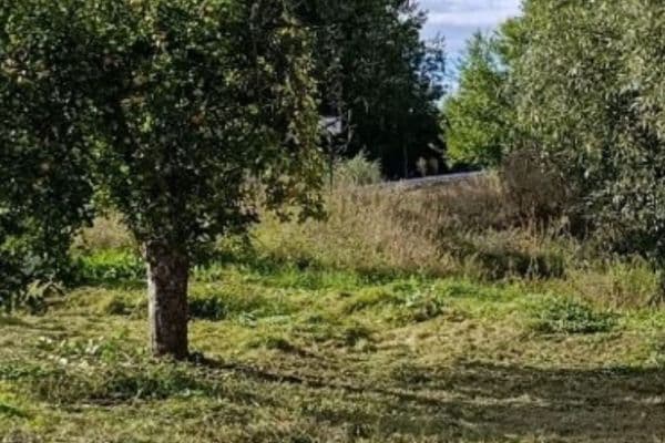 Plot for sale Plot for sale