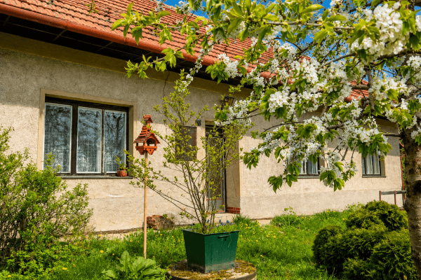 House for sale House for sale