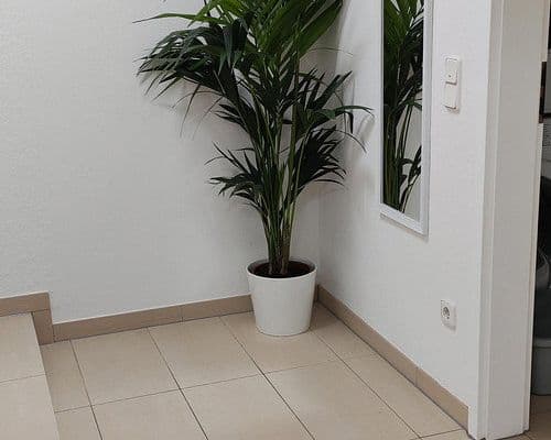 2 bedroom flat to rent, 58 m², Oberborsbacher Str. 19, Odenthal 2 bedroom flat to rent, 58 m², Oberborsbacher Str. 19, Odenthal