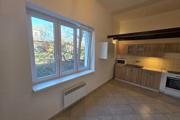 1 bedroom flat to rent, 47 m², Jana Želivského, Praha 1 bedroom flat to rent, 47 m², Jana Želivského, Praha