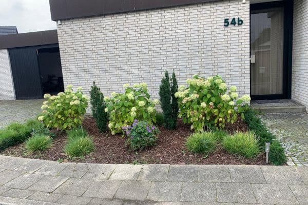 2 bedroom flat to rent, 60 m², Sehrbruchskamp 54b, Herne 2 bedroom flat to rent, 60 m², Sehrbruchskamp 54b, Herne