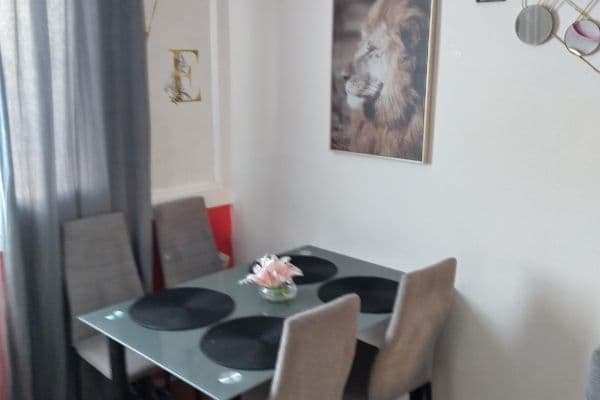 1 bedroom with open-plan kitchen flat for sale, 50 m², L. M. Pařízka, České Budějovice 1 bedroom with open-plan kitchen flat for sale, 50 m², L. M. Pařízka, České Budějovice