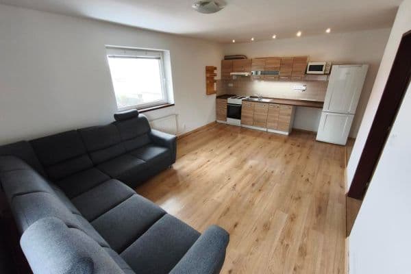 1 bedroom with open-plan kitchen flat to rent, 50 m², Lnářská, Praha 1 bedroom with open-plan kitchen flat to rent, 50 m², Lnářská, Praha