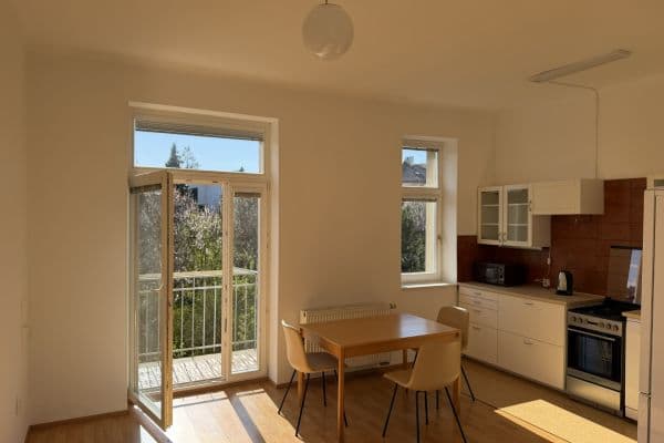 1 bedroom with open-plan kitchen flat to rent, 57 m², Sedlákova, Brno 1 bedroom with open-plan kitchen flat to rent, 57 m², Sedlákova, Brno