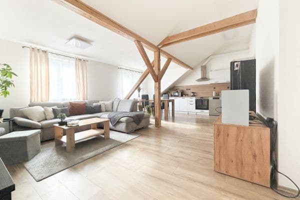 1 bedroom with open-plan kitchen flat to rent, 60 m², Tyršova, Újezd 1 bedroom with open-plan kitchen flat to rent, 60 m², Tyršova, Újezd