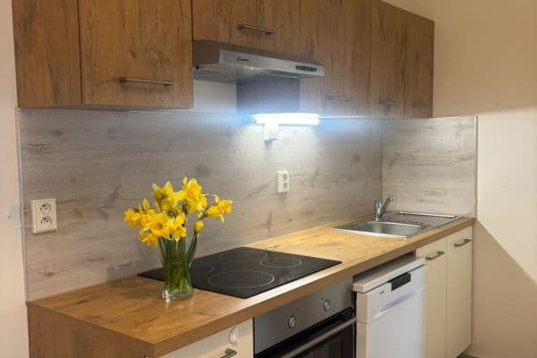 1 bedroom with open-plan kitchen flat to rent, 51 m², Dělnická, Praha 1 bedroom with open-plan kitchen flat to rent, 51 m², Dělnická, Praha