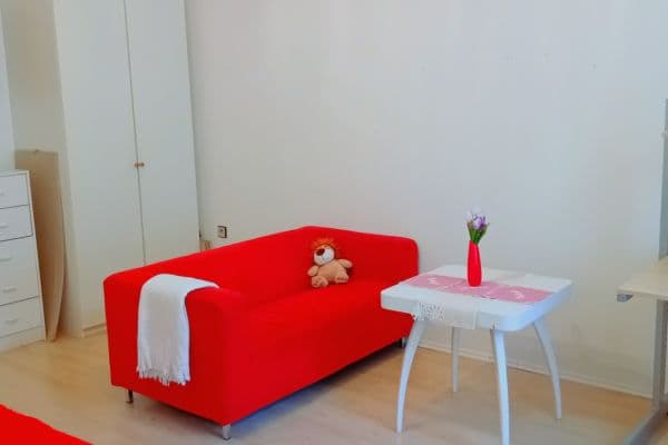 1 bedroom with open-plan kitchen flat to rent, 45 m², Londýnská, Praha 1 bedroom with open-plan kitchen flat to rent, 45 m², Londýnská, Praha