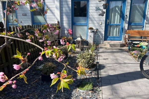 house for sale, 165 m², Falkensee house for sale, 165 m², Falkensee