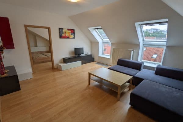 1 bedroom with open-plan kitchen flat to rent, 62 m², Na Lávce, Praha 1 bedroom with open-plan kitchen flat to rent, 62 m², Na Lávce, Praha