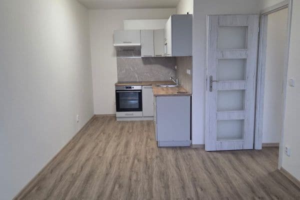 1 bedroom with open-plan kitchen flat to rent, 40 m², Jerevanská, Kladno 1 bedroom with open-plan kitchen flat to rent, 40 m², Jerevanská, Kladno
