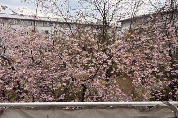 Studio flat to rent, 42 m², München, Bavaria Studio flat to rent, 42 m², München, Bavaria