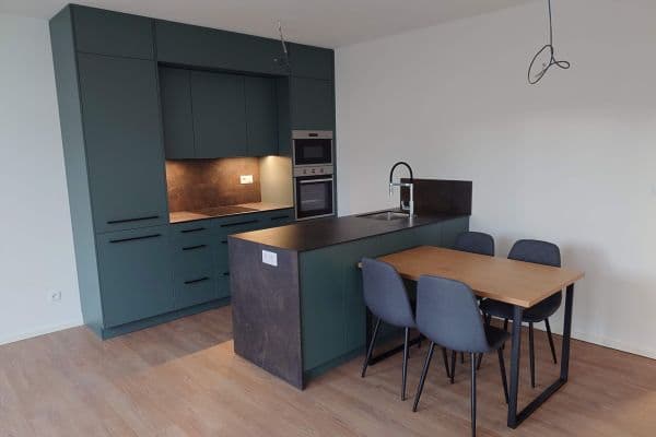 1 bedroom with open-plan kitchen flat to rent, 55 m², Jeronýmova, České Budějovice 1 bedroom with open-plan kitchen flat to rent, 55 m², Jeronýmova, České Budějovice