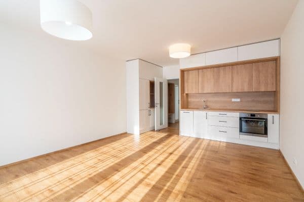 Studio flat to rent, 37 m², Gerstelova, Praha Studio flat to rent, 37 m², Gerstelova, Praha