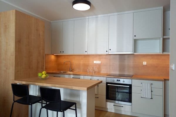 1 bedroom with open-plan kitchen flat to rent, 40 m², Mečíková, Prague, Prague 1 bedroom with open-plan kitchen flat to rent, 40 m², Mečíková, Prague, Prague