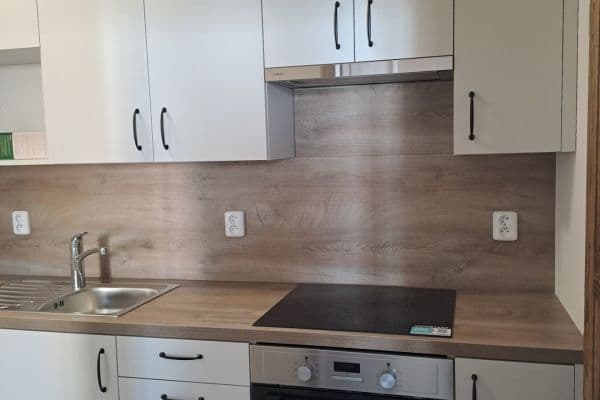 1 bedroom with open-plan kitchen flat to rent, 40 m², Belgická, Praha 1 bedroom with open-plan kitchen flat to rent, 40 m², Belgická, Praha