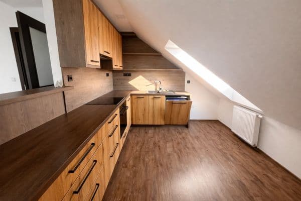 2 bedroom with open-plan kitchen flat for sale, 89 m², Třídvorská, 2 bedroom with open-plan kitchen flat for sale, 89 m², Třídvorská,