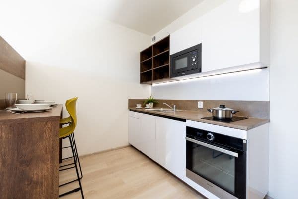 Studio flat to rent, 27 m², Magisterská, Studio flat to rent, 27 m², Magisterská,