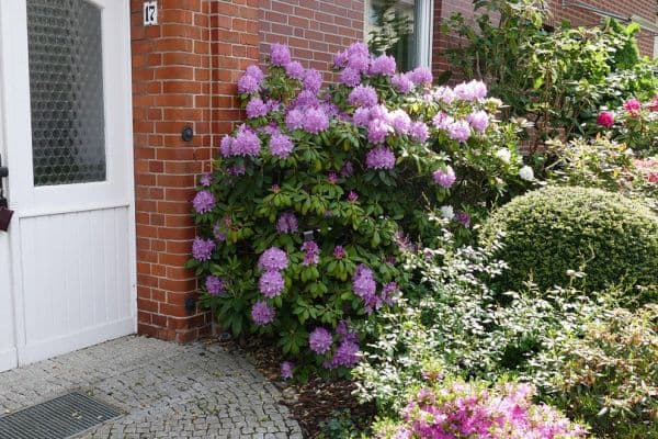 5 bedroom flat to rent, 160 m², Wedemark 5 bedroom flat to rent, 160 m², Wedemark