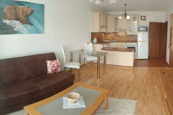 1 bedroom with open-plan kitchen flat to rent, 60 m², Svitákova, Praha 1 bedroom with open-plan kitchen flat to rent, 60 m², Svitákova, Praha