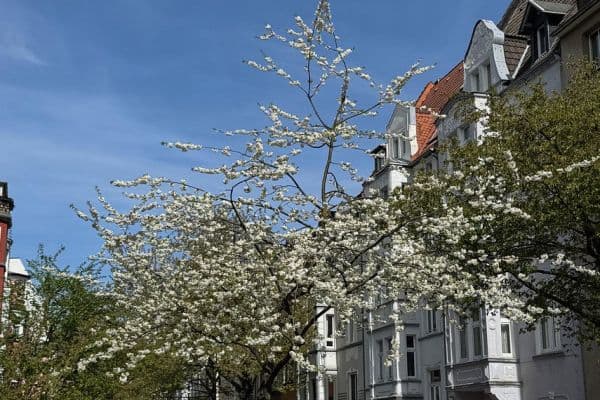 4 bedroom flat to rent, 134 m², Dortmund, North Rhine-Westphalia 4 bedroom flat to rent, 134 m², Dortmund, North Rhine-Westphalia