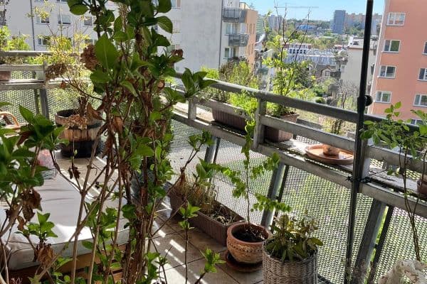 3 bedroom with open-plan kitchen flat for sale, 100 m², Symfonická, Praha 3 bedroom with open-plan kitchen flat for sale, 100 m², Symfonická, Praha