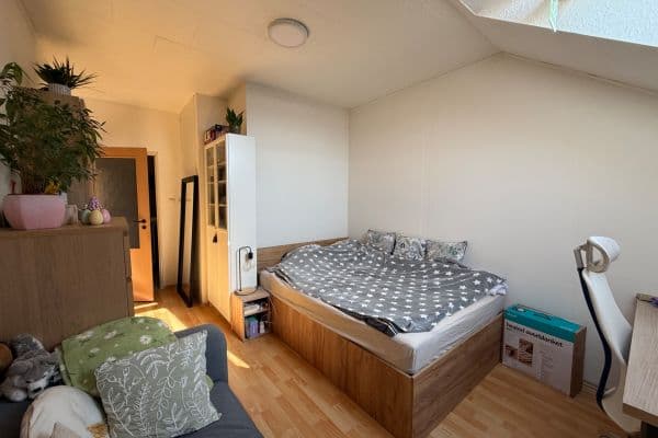 Small studio flat to rent, 36 m², Hlaváčova, Brno Small studio flat to rent, 36 m², Hlaváčova, Brno